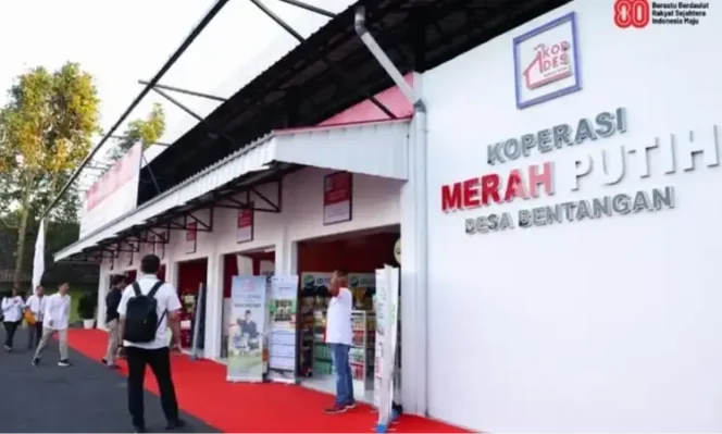 
					Koperasi Desa Merah Putih Perkuat Fondasi Ekonomi Papua
