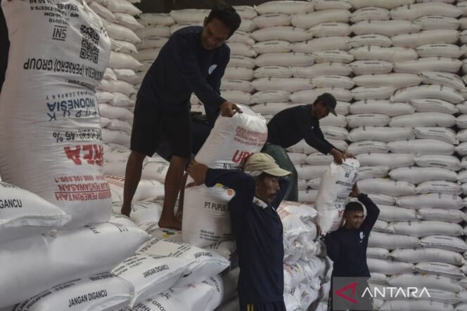 
					Pemerintah Perkuat Distribusi Pupuk Subsidi untuk Jaga Ketahanan Pangan