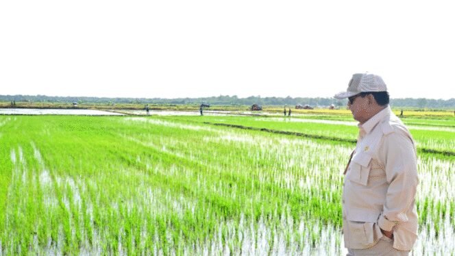
					Ekonomi Hijau, Jalan Baru Pemerintah Menciptakan Jutaan Lapangan Kerja Masa Depan
