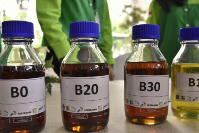 
					Presiden Prabowo Siapkan Peluncuran B50 untuk Percepat Swasembada Energi