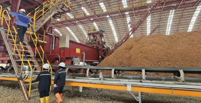 
					Dari Nikel hingga Bauksit, Hilirisasi Indonesia Masuki Babak Baru