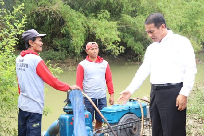 
					Pemerintah Perkuat Ketahanan Air demi Jaga Pangan dari Ancaman Kekeringan