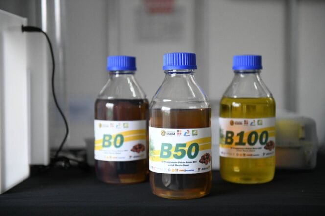 
					Program Biodiesel B50 Diluncurkan demi Hemat Devisa dan Perkuat Ketahanan Energi