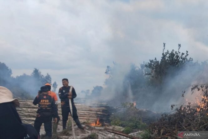 
					Kewaspadaan Ditingkatkan, Pemerintah Antisipasi Karhutla saat El Nino Menguat