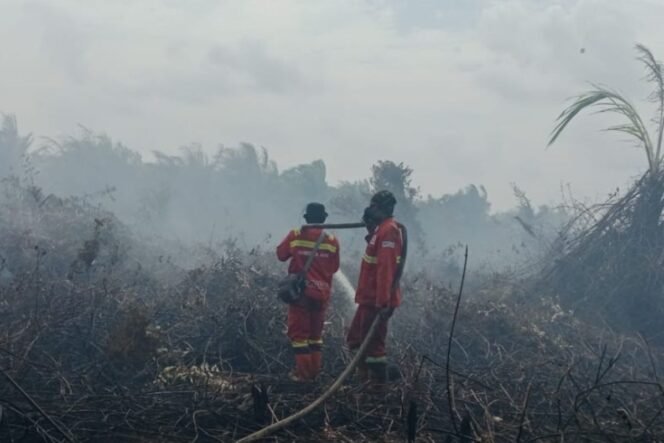 
					Pemerintah Siagakan Langkah Antisipatif Cegah Dampak El Nino