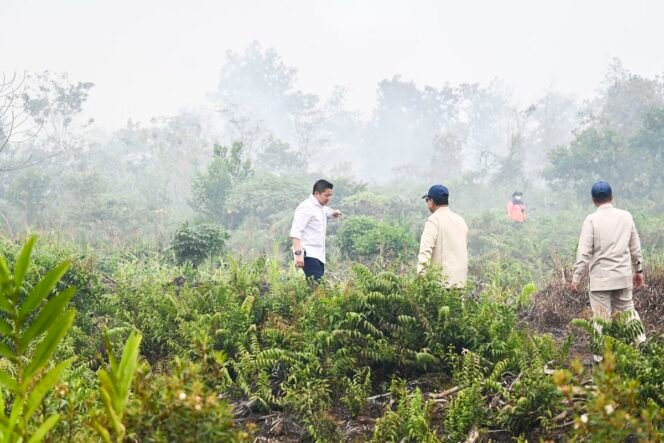 
					Dari Peringatan Dini hingga Koordinasi Lapangan, Pemerintah Siaga Hadapi El Nino