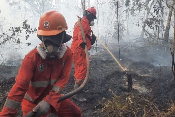 
					Perlindungan Kesehatan, Pendidikan, dan Bansos Disiapkan bagi Korban Karhutla