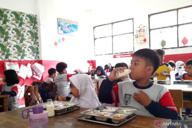 
					Pemerintah Tidak Main-Main Soal Keamanan Pangan MBG