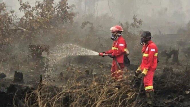 
					Dari Hotspot hingga Water Bombing, Strategi Pemerintah Tekan Ancaman Karhutla