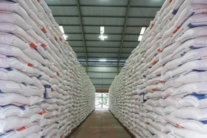 
					Pemerintah Perkuat BULOG untuk Jaga Swasembada Pangan dan Stok Nasional
