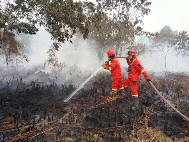 
					Pemerintah Menindak Perusahaan Penyebab Karhutla: Melindungi Warga, Hutan, dan Lingkungan