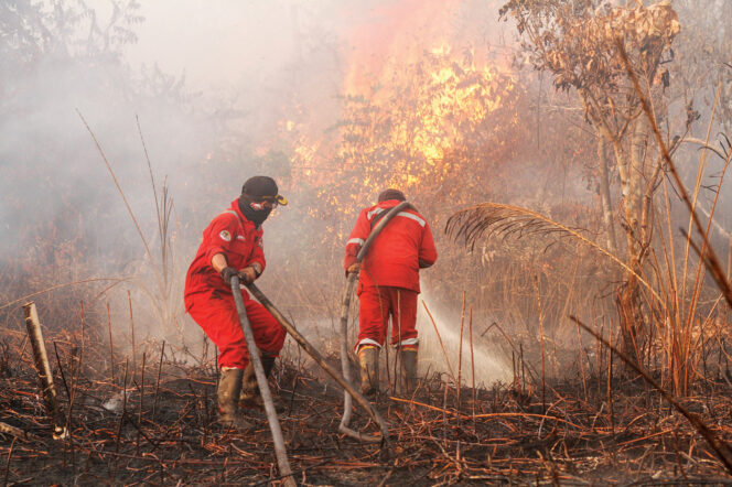 
					Penanganan Karhutla Diperkuat di Riau, Sumsel, Jambi, dan Kalimantan