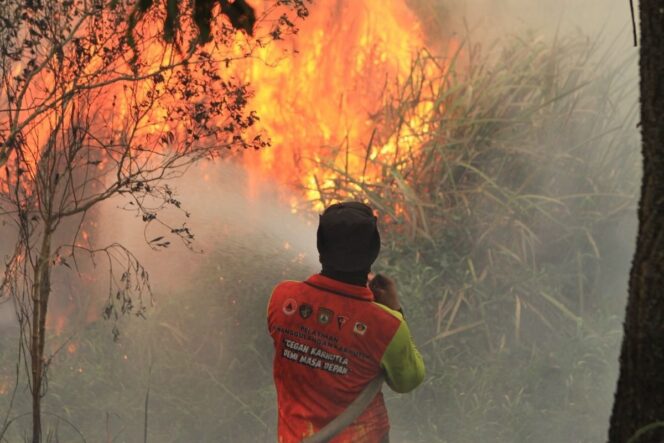 
					Pencabutan Izin Perusahaan Terkait Karhutla Bukti Negara Hadir Menjaga Hutan
