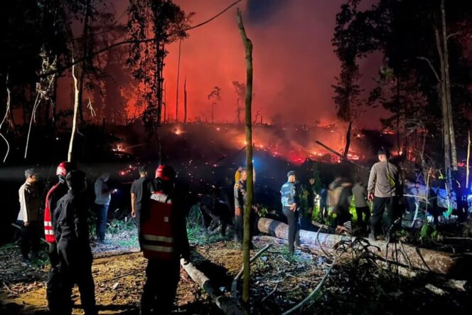 
					Pemerintah Perkuat Penanganan Darurat Karhutla untuk Cegah Kabut Asap Lintas Batas