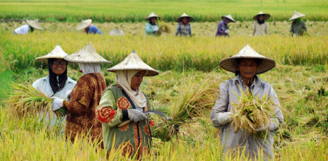 
					 Jaga Produksi Pangan, Pemerintah Perkuat Asuransi bagi Petani
 