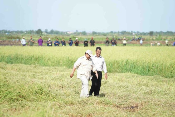 
					Lindungi Petani dari Gagal Panen, Pemerintah Siapkan AUTP 100 Ribu Hektare