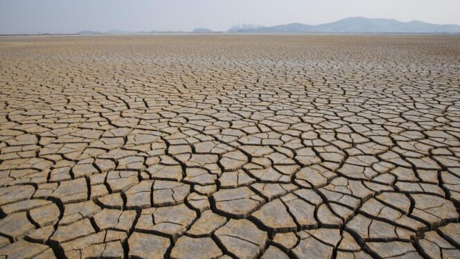 
					El Nino dan Kekeringan: Dijawab dengan Langkah Cepat, Terukur, dan Terpadu