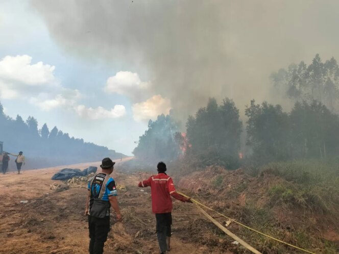 
					Karhutla Ditangani Lewat Operasi Darat dan Udara secara Terpadu