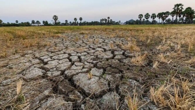 
					Mitigasi El Nino di Sektor Energi, Bukti Negara Hadir Antisipasi Krisis