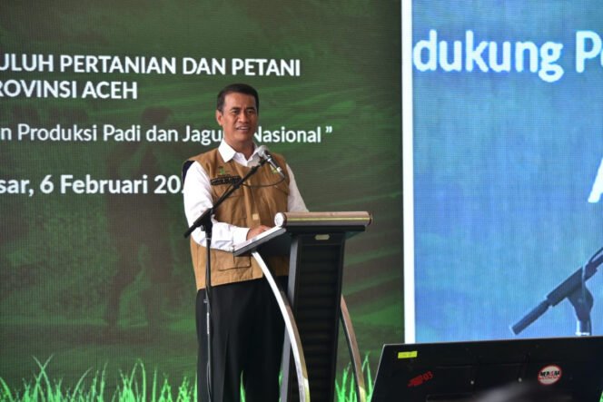 
					Asuransi Gagal Panen Lindungi Petani, Jaga Pasokan Pangan