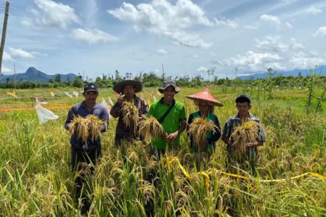 
					Kesejahteraan Petani Jadi Fondasi Ketahanan dan Kedaulatan Pangan Nasional