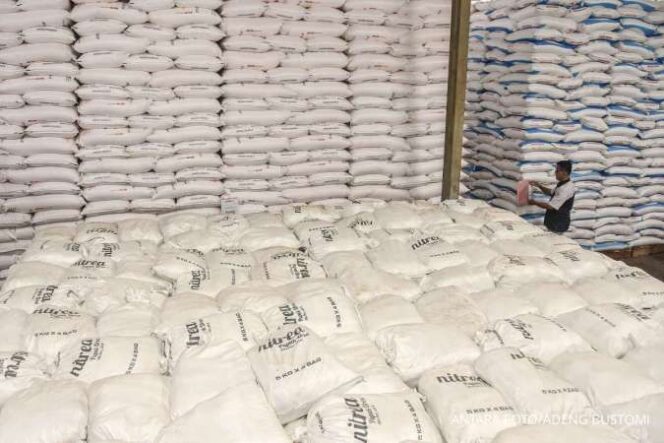 
					Koperasi Merah Putih Dekatkan Akses Pupuk Subsidi bagi Petani