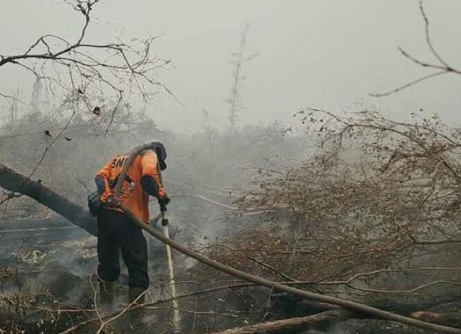 
					Hot Spot Nasional Turun, Bukti Nyata Kerja Keras Pemerintah Mengendalikan Karhutla