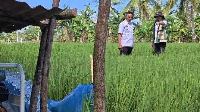 
					Kedaulatan Pangan: Bangsa Mampu Berdiri di Atas Produksi Sendiri