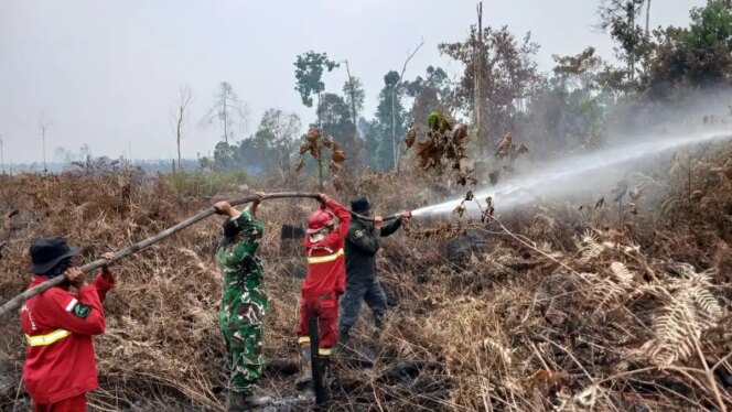 
					Penanganan Karhutla Terus Diintensifkan, Pemerintah Perkuat Koordinasi Lapangan