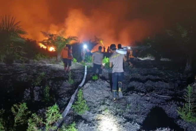 
					Pemerintah Perkuat Peralatan, Dorong Penanganan Karhutla Lebih Cepat