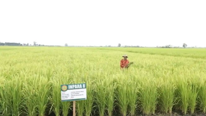 
					Kedaulatan Pangan Diperkuat lewat Percepatan Program Pertanian Nasional